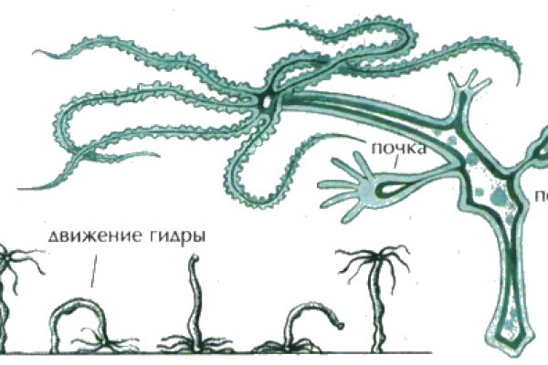 Мега или кракен