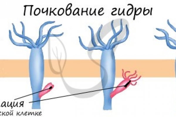 Kraken ссылка krakentor site